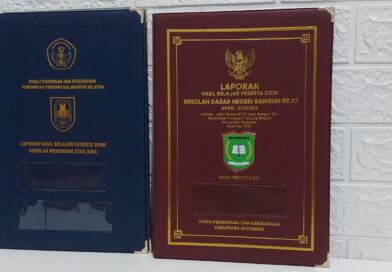 map raport sekolah sd smp sma smk